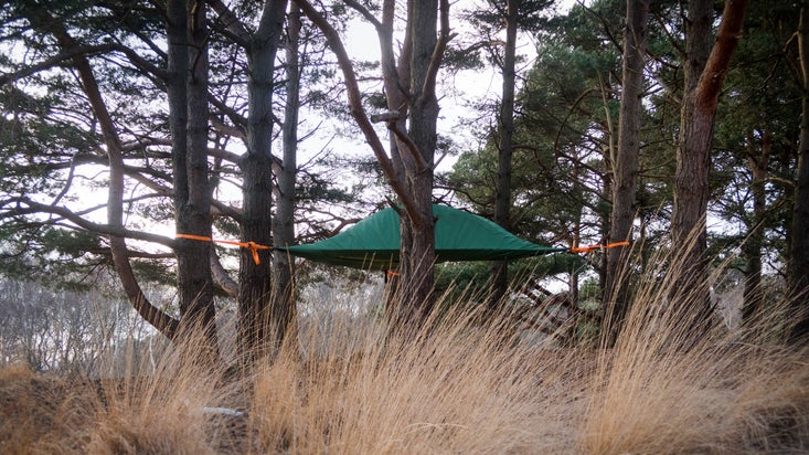 One of the tree tents at Brownsea Island Campsite, Dorset